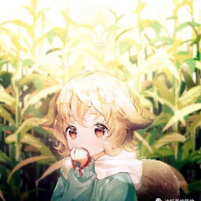 公府小娇媳